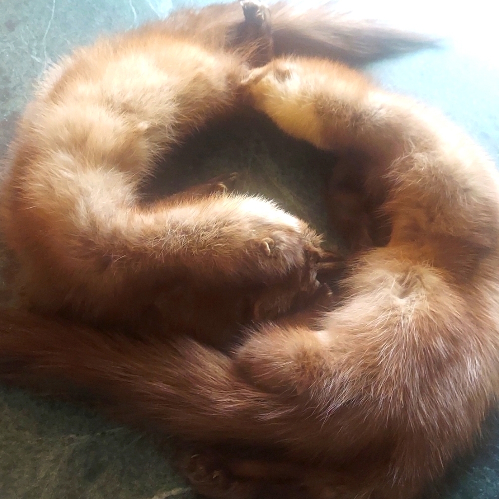 Genuine Natural Baun Marten Pelt